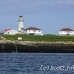 lighthouse_island_seal_machias_h_2296_can1002.jpg